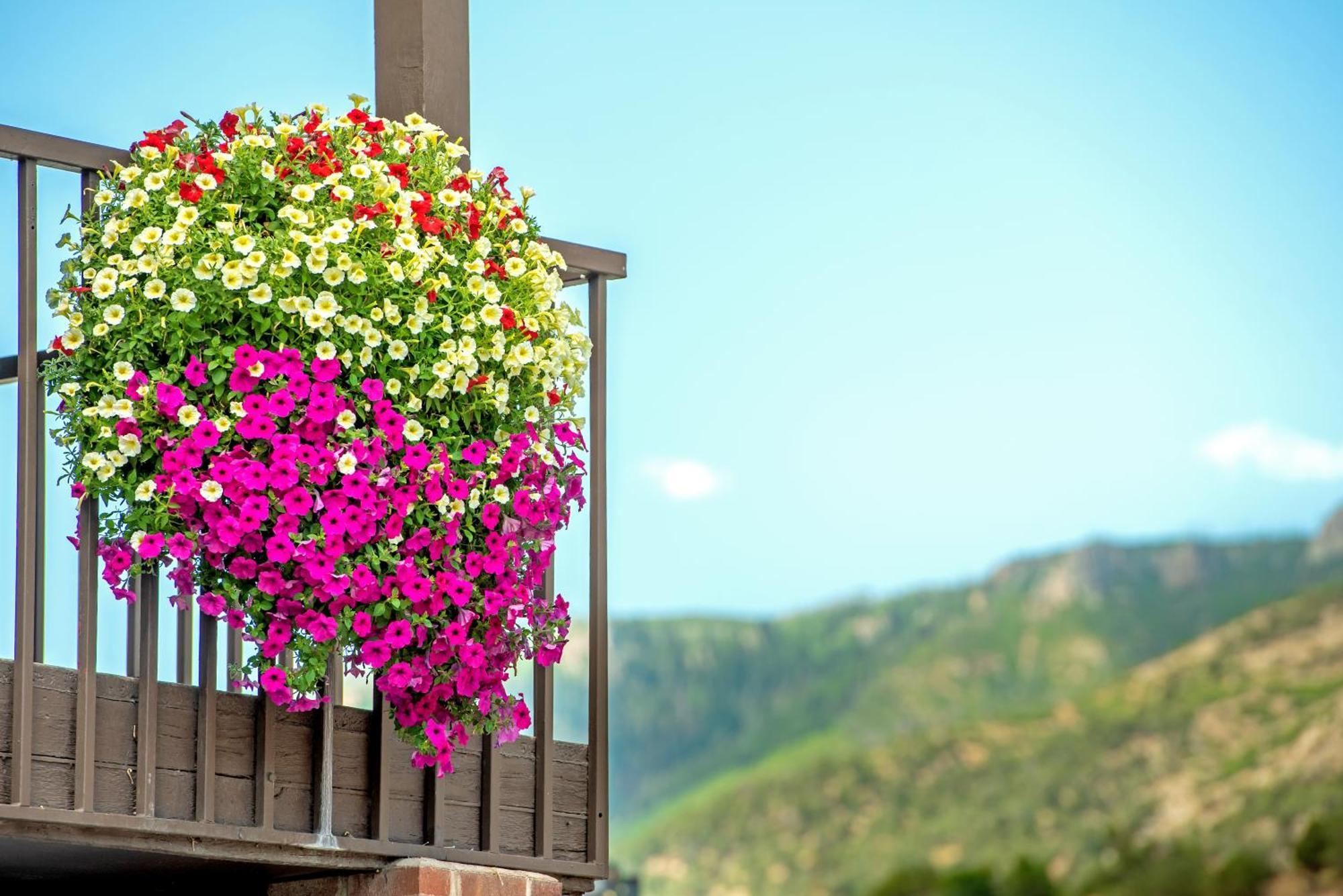 Silver Spruce Inn Glenwood Springs Exterior foto